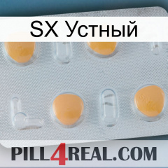 SX Устный 24